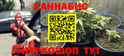 тгк Обь