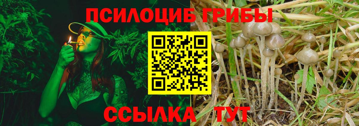 Псилоцибиновые грибы Magic Shrooms  Вход с VPN  Тамбов 